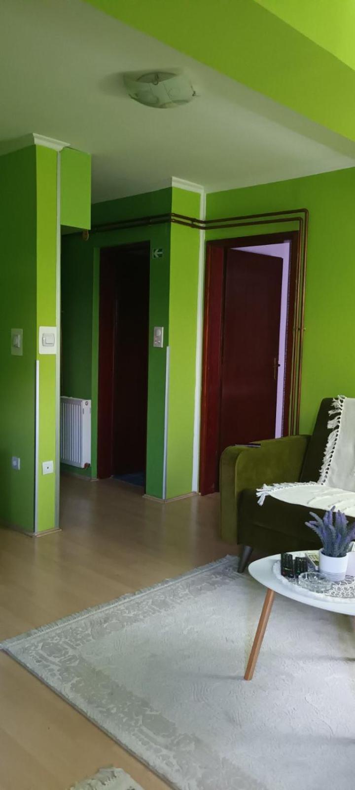 Apartman Gaga Lägenhet Pirot Exteriör bild